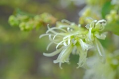 散歩の途中で。⑤