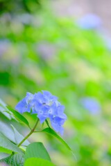 (10)散歩の途中で。9