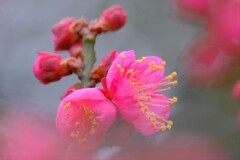 散歩の途中で。Ⅱ