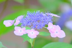 散歩の途中で。