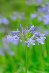 散歩の途中で。Ⅱ