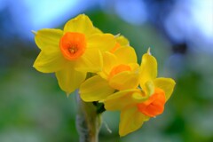 散歩の途中で。４