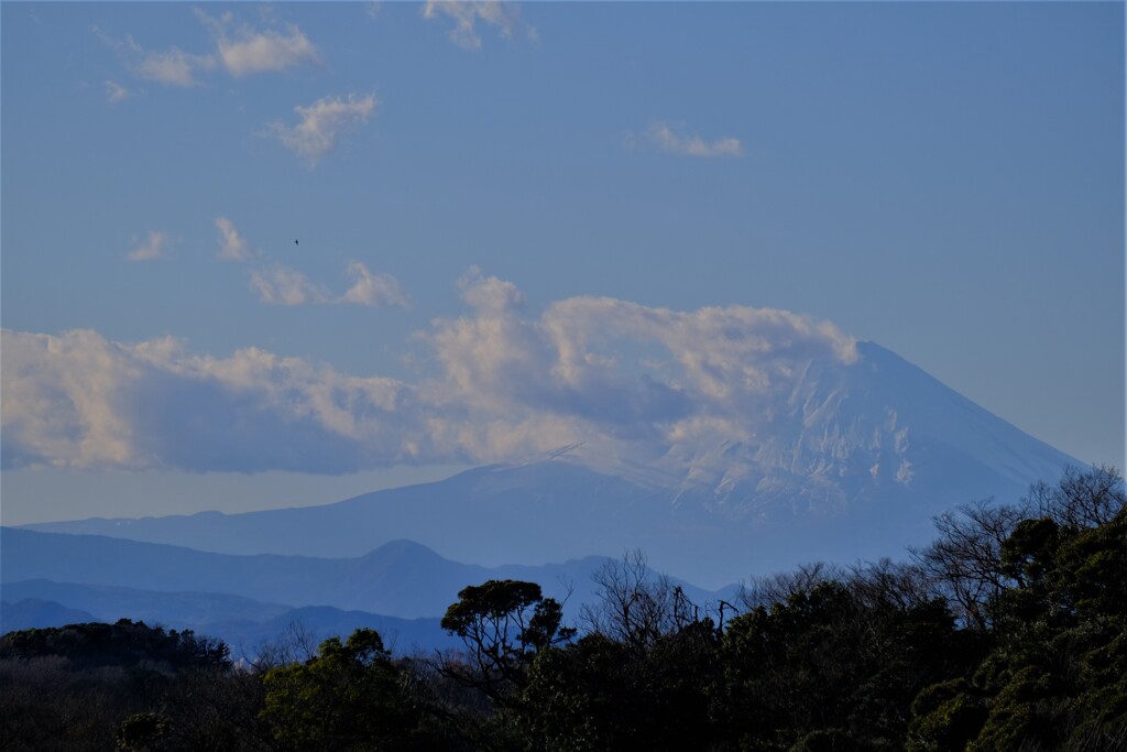 散歩の途中で。Ⅵ