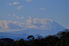 散歩の途中で。Ⅵ