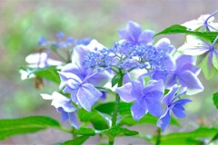 散歩の途中で。３