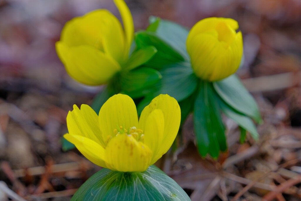 散歩の途中で。Ⅱ