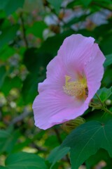 散歩の途中で。③