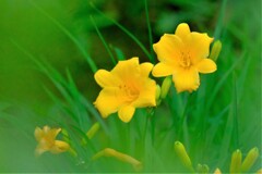 散歩の途中で。Ⅲ