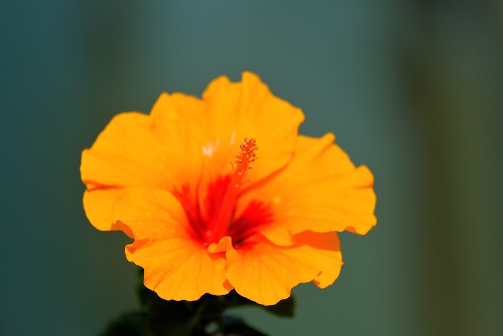 散歩の途中で。Ⅴ