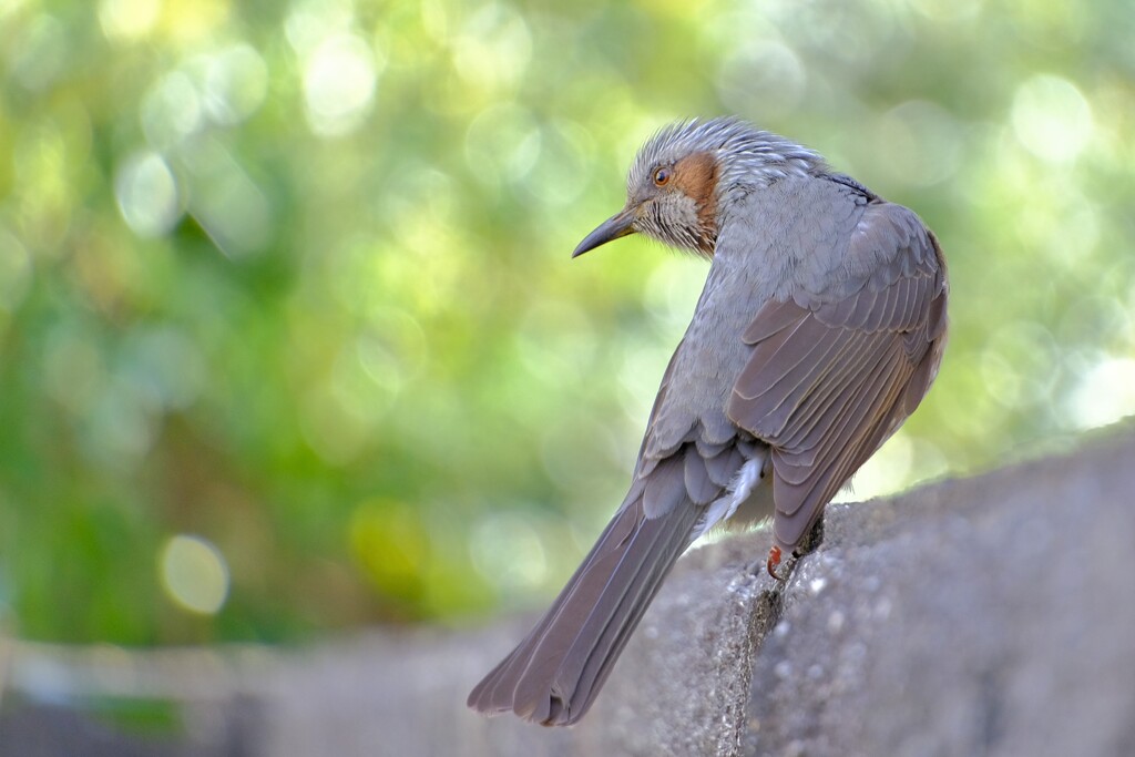散歩の途中で。Ⅴ