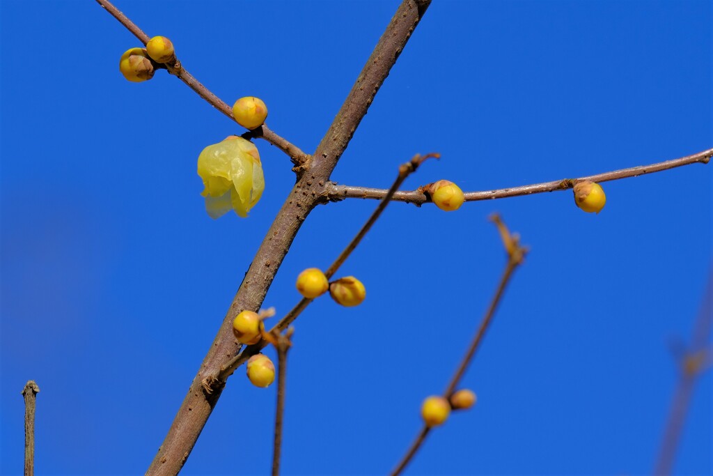 散歩の途中で。5