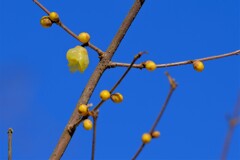 散歩の途中で。5