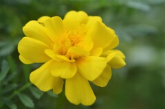 散歩の途中で。Ⅰ