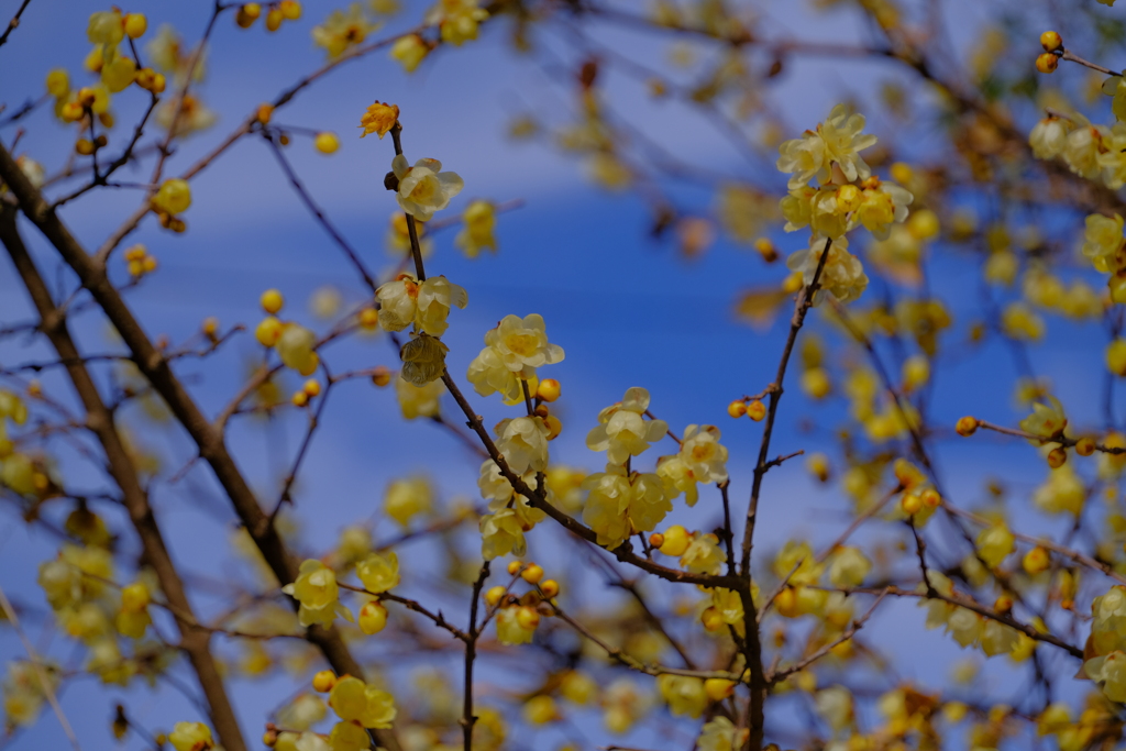散歩の途中で。②