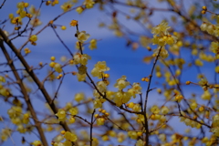 散歩の途中で。②