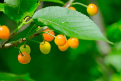 散歩の途中で。Ⅹ