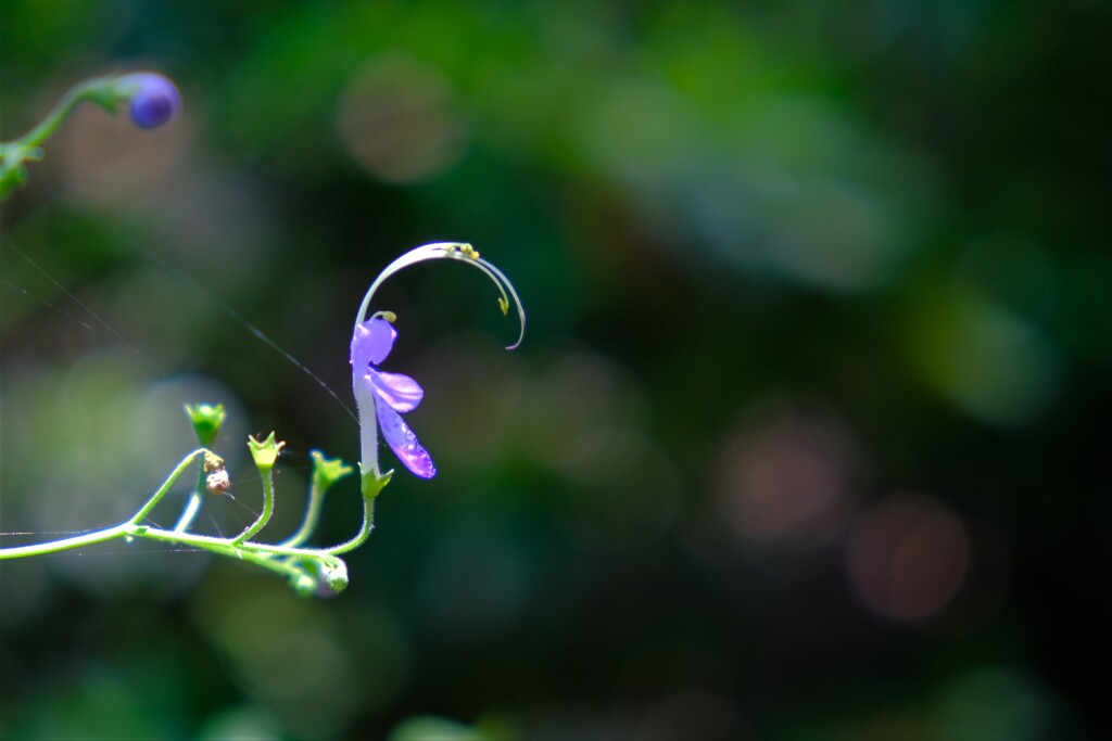 散歩の途中で。３