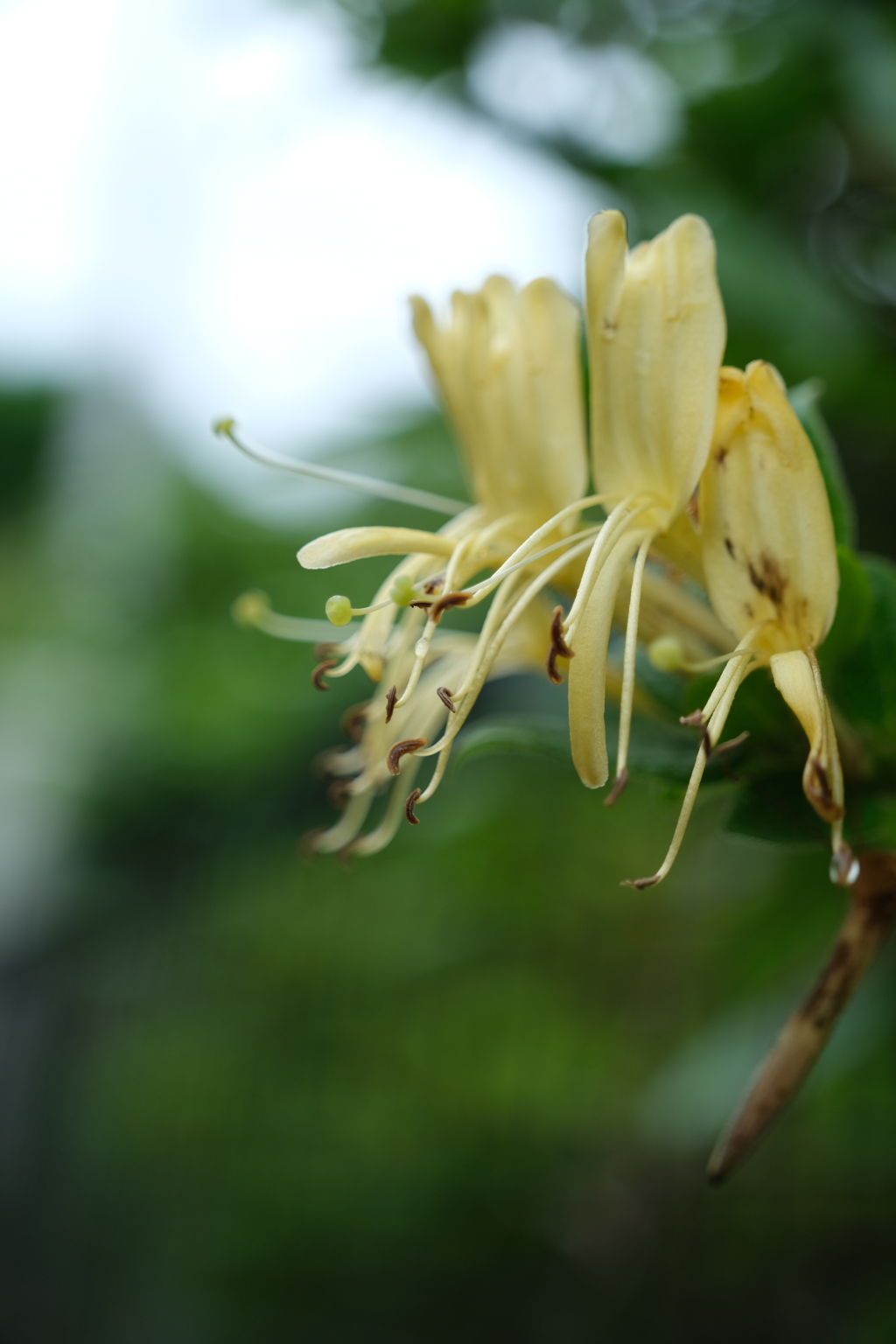 散歩の途中で。⑤