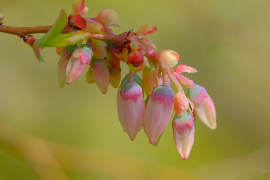 散歩の途中で。③
