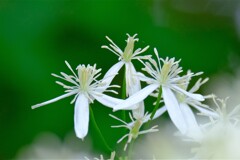 散歩の途中で。１