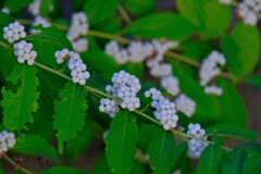 散歩の途中で。３