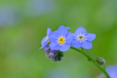 散歩の途中で。⑦