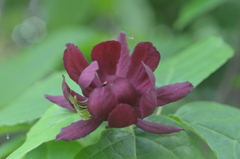 散歩の途中で。