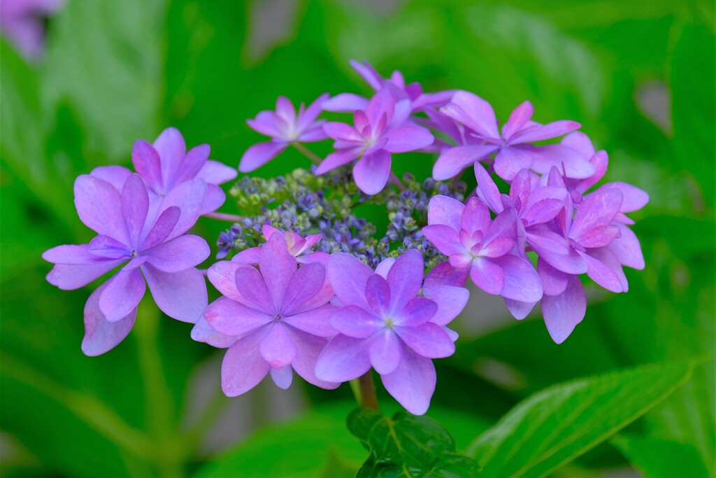 散歩の途中で。3