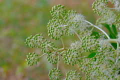 散歩の途中で。６