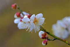 散歩の途中で。⑥