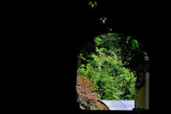 散歩の途中で。８