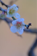 散歩の途中で。Ⅲ