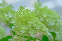 散歩の途中で。