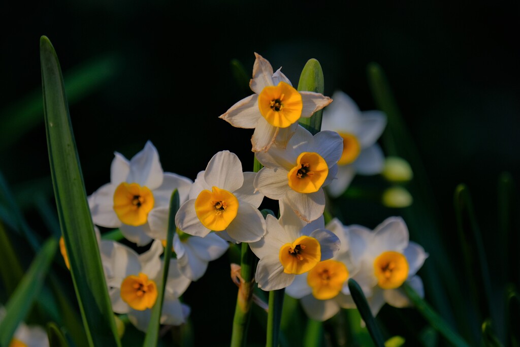 散歩の途中で。10