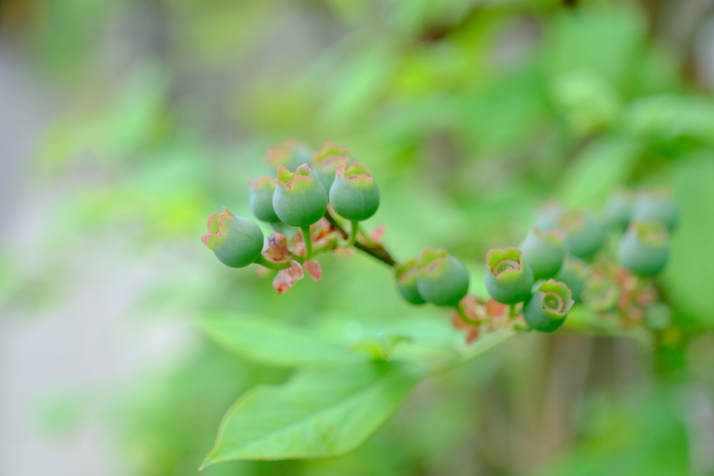 散歩の途中で。Ⅱ