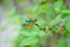 散歩の途中で。Ⅱ