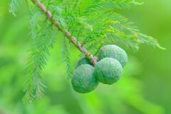 散歩の途中で。