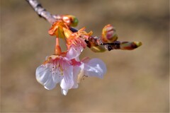 散歩の途中で。Ⅵ