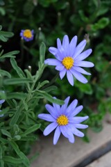 散歩の途中で。⑤