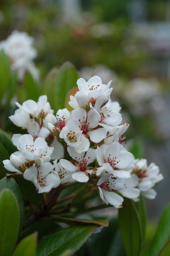 散歩の途中で。Ⅳ