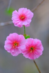 散歩の途中で。２