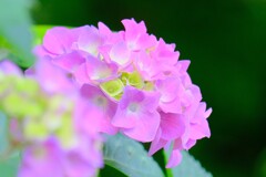 (5)散歩の途中で。10