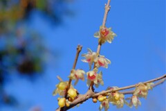 散歩の途中で。Ⅰ