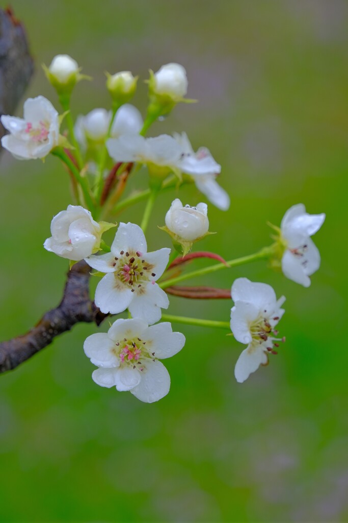 散歩の途中で。⑤