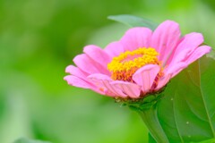 散歩の途中で。