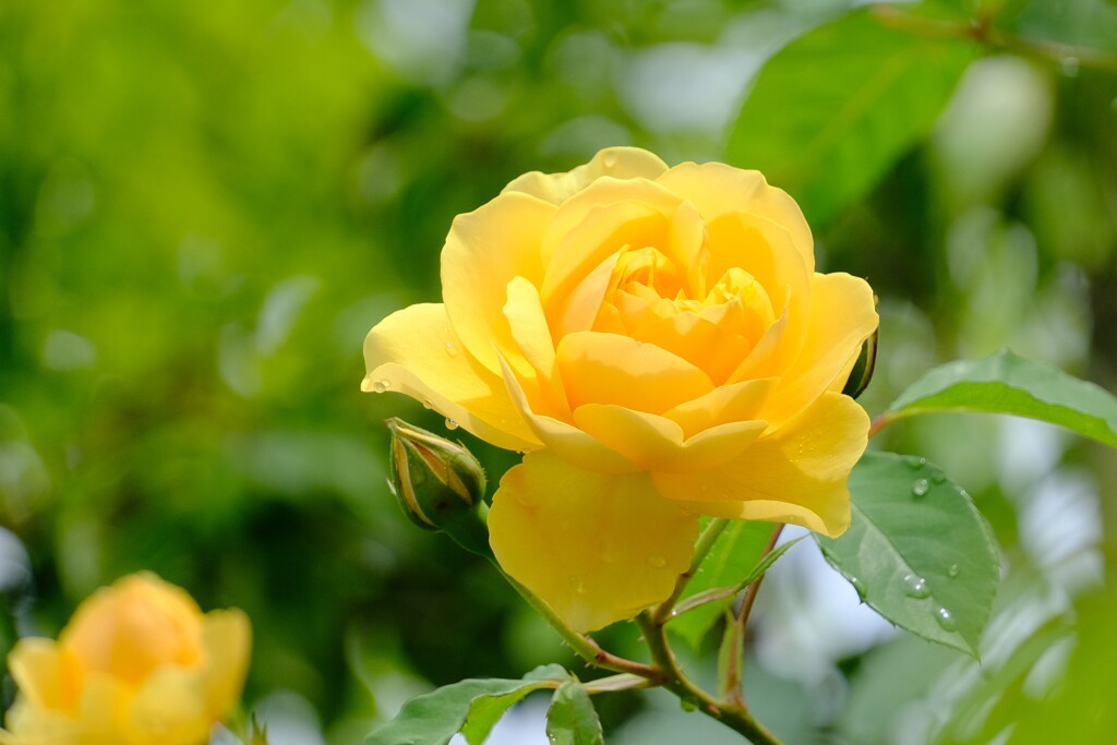 散歩の途中で。Ⅲ