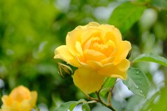 散歩の途中で。Ⅲ