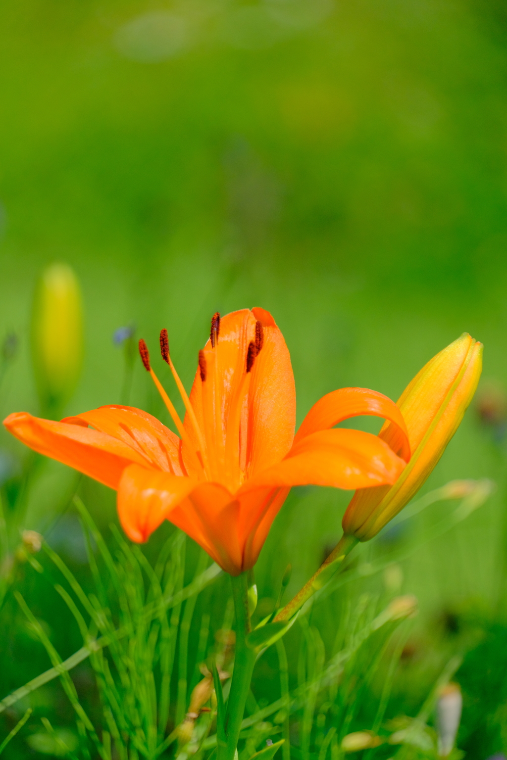 散歩の途中で。10