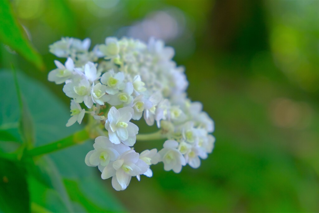 散歩の途中で。２