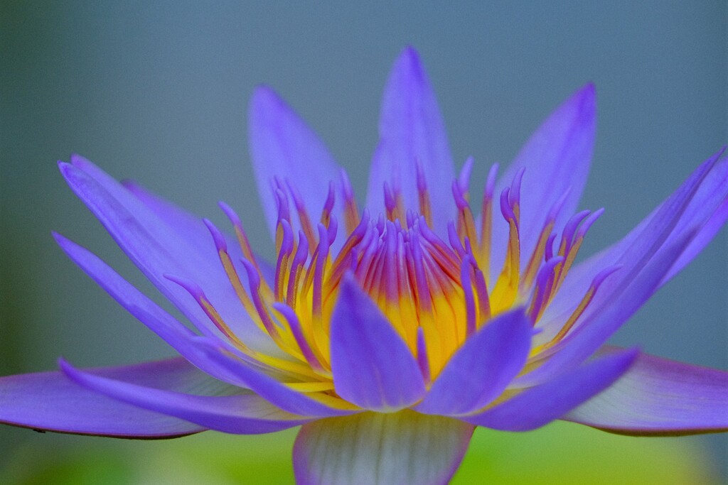 散歩の途中で。⑤